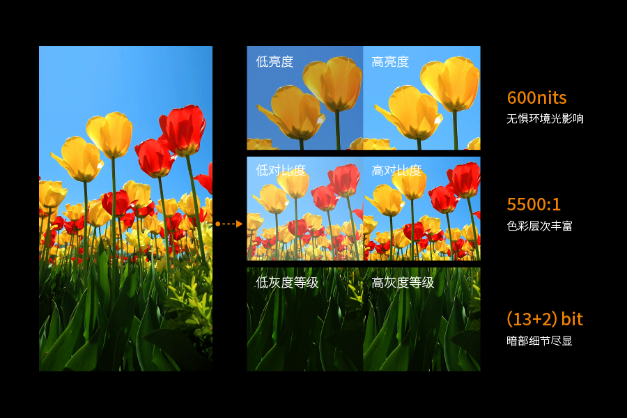 1749189770169326.jpg 2.jpg